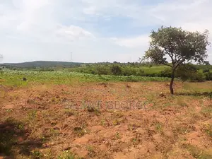 100 Acreas Near The Airport Hoima