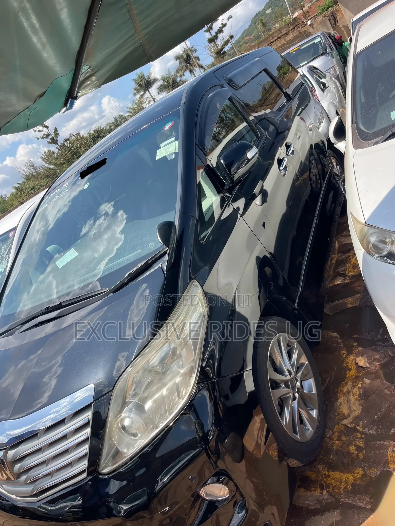 Toyota Alphard 2012 Black
