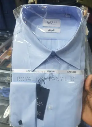 Men Blue Shirts /Gentle Shirts