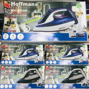 Electric Steam Iron