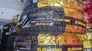 225/65r17 Black Hawk
