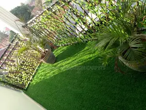 Grass Carpets (Artificial)