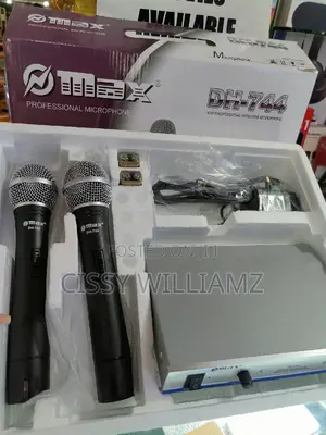 Wireless Microphone/Professional Wireless Microphone/Max Mic