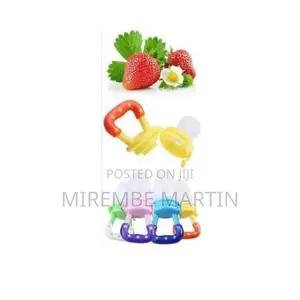 Baby Fruit Feeder.