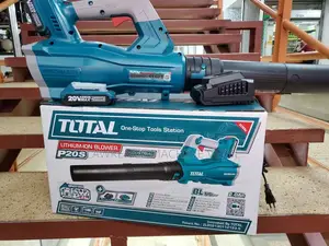 Rechargeable Air Blower 20V