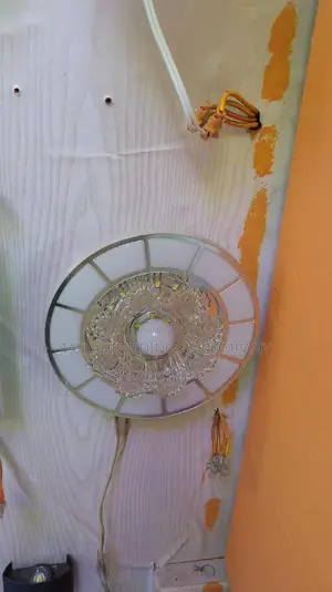 Peacock Chandeliers for Living Bedroom Ceiling Lights