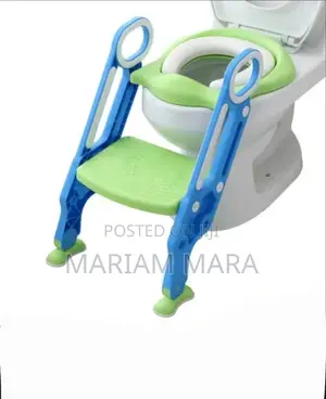 Potty Training Seat /Baby Potty Training Seat