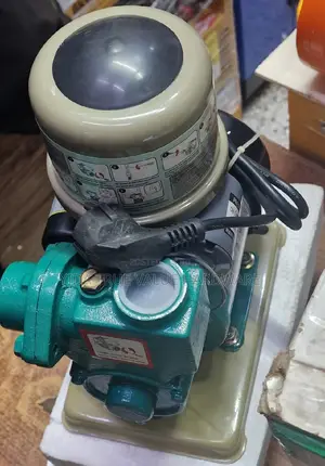 Automatic Hot and Cold Water Pump