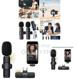 Type C Wireless Microphone