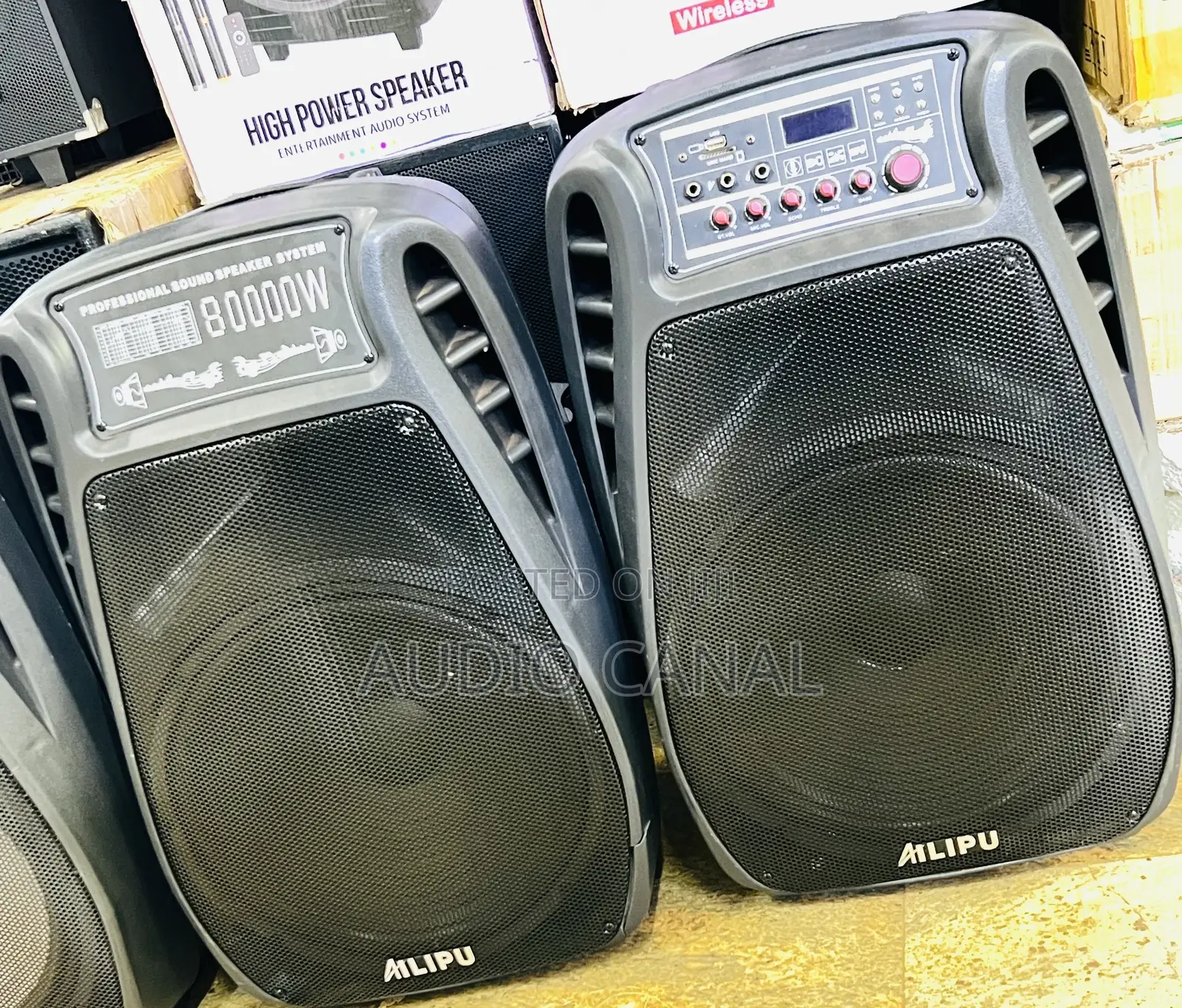 Professional Sound Speaker System