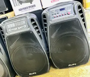 Professional Sound Speaker System
