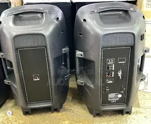 Professional Sound Speaker System
