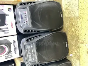 Professional Sound Speaker System