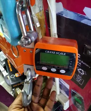 Best Selling Weighing Scale Portable Weigh Hanging Weighing Scale (5)