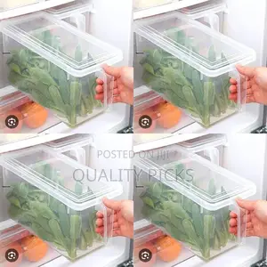 Plastic Fridge Storage Containers