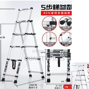Adjustable Folding Ladder