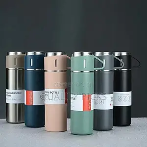 Stainless Portable Vacuum Bottle