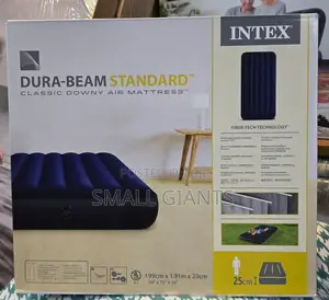 Intex 3 by 6 Standard Classic Downy Air Mattress