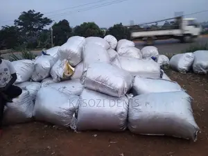 Maize Silage