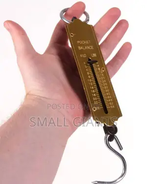 25kg Pocket Spring Balance Weighing Scale
