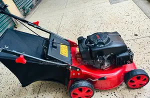 Lawn Mower 8HP