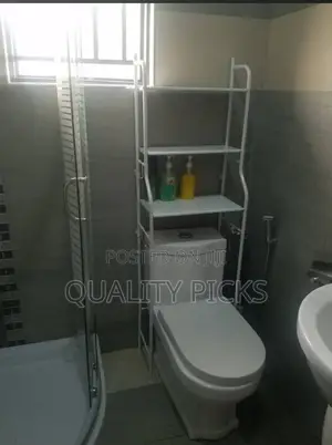 Metallic Toilet Rack