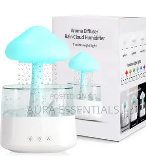 NEW Portable Rain Cloud Humidifier