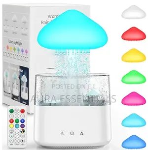 NEW Portable Rain Cloud Humidifier
