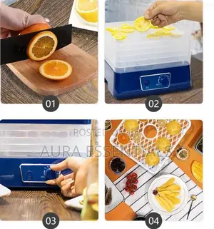 Electric Avinas Food Dehydrator