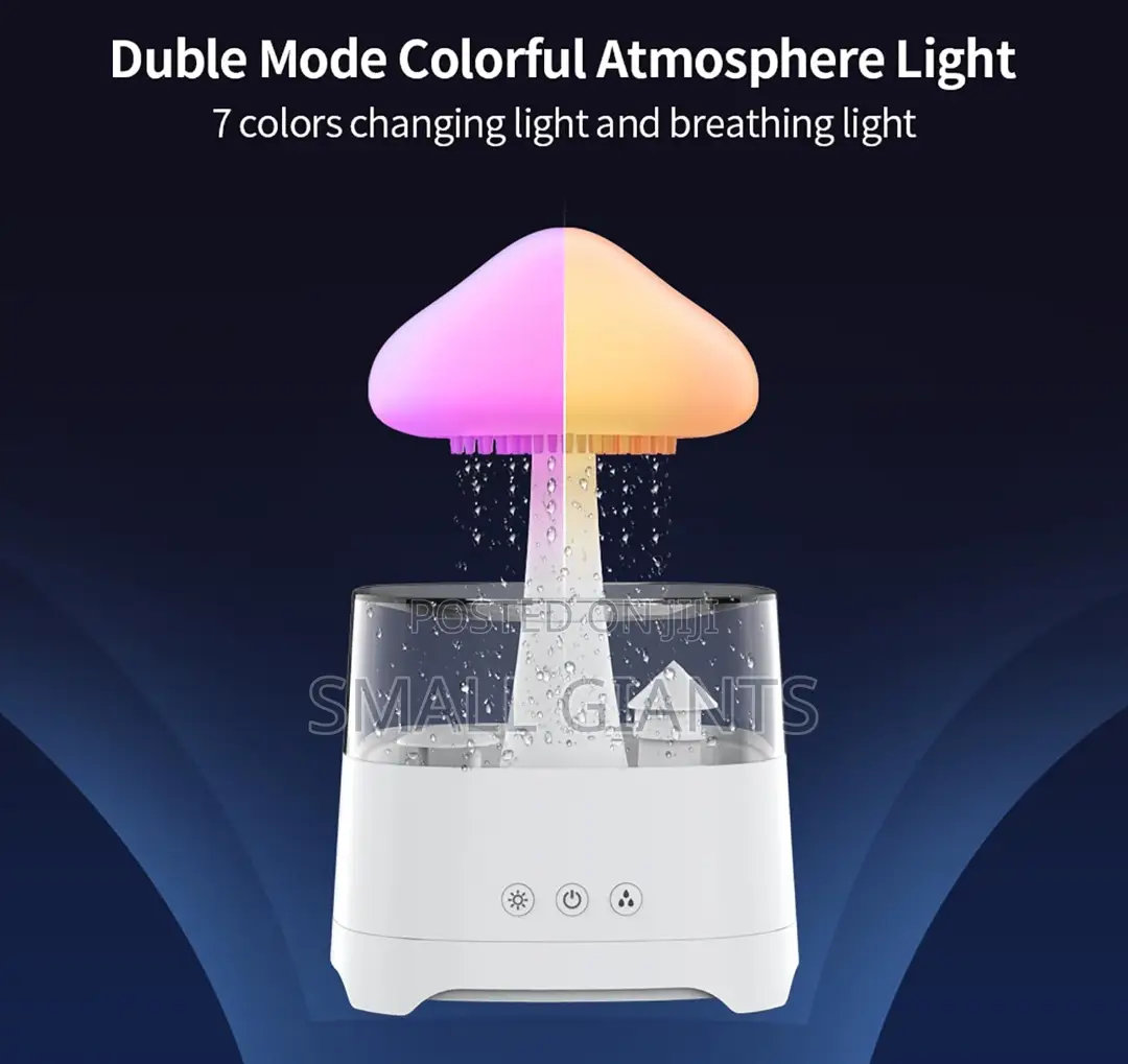 Aroma Diffuser Rain Cloud Humidifier, 7 Color Night Light