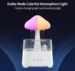 Aroma Diffuser Rain Cloud Humidifier, 7 Color Night Light
