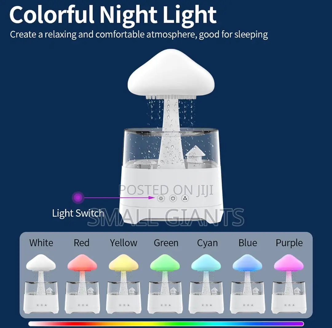 Aroma Diffuser Rain Cloud Humidifier, 7 Color Night Light