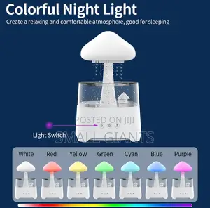 Aroma Diffuser Rain Cloud Humidifier, 7 Color Night Light