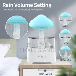Aroma Diffuser Rain Cloud Humidifier, 7 Color Night Light