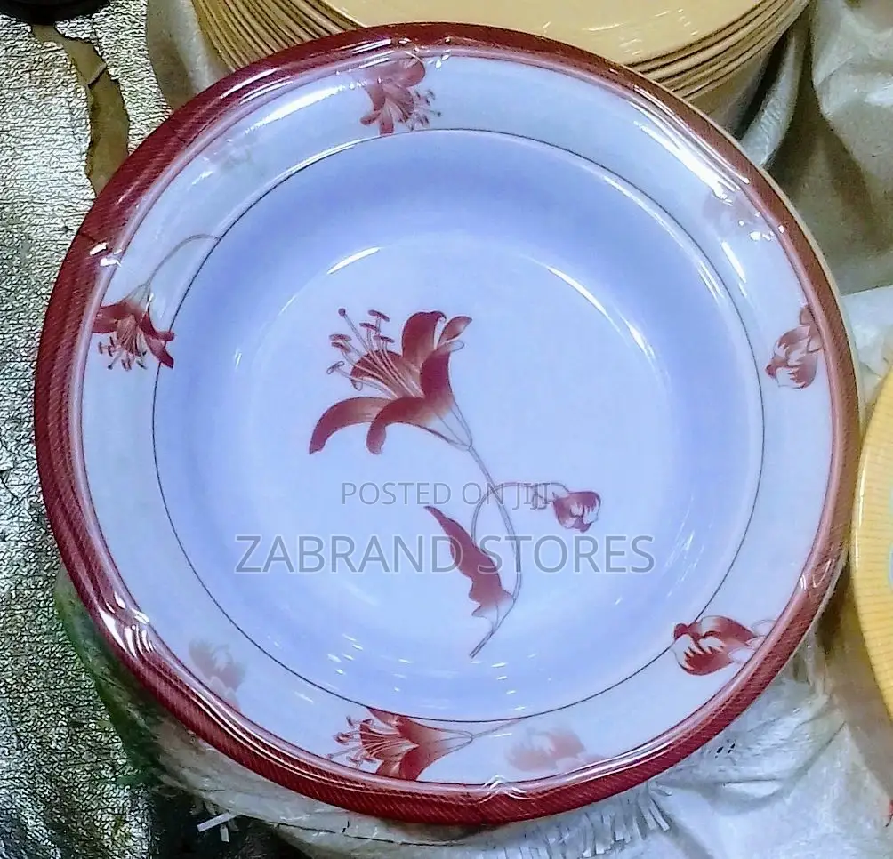 Hard Melamine Dinner Plates