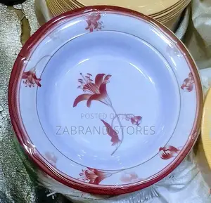 Hard Melamine Dinner Plates