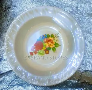 Hard Melamine Plates 12pcs