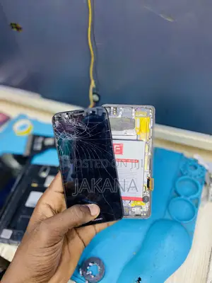 Professional Phone Repair Service.