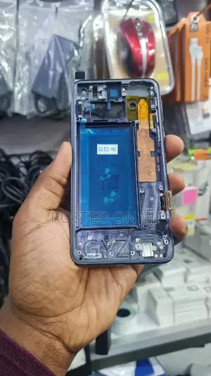 Samsung S10E LCD