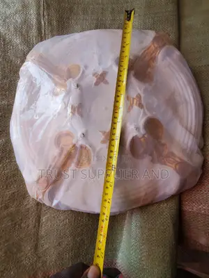 Ceiling Flowers Cornices