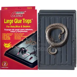 EXPERT CATCH Rat |Mice | Snake | Pests Large Glue Traps 2pcs