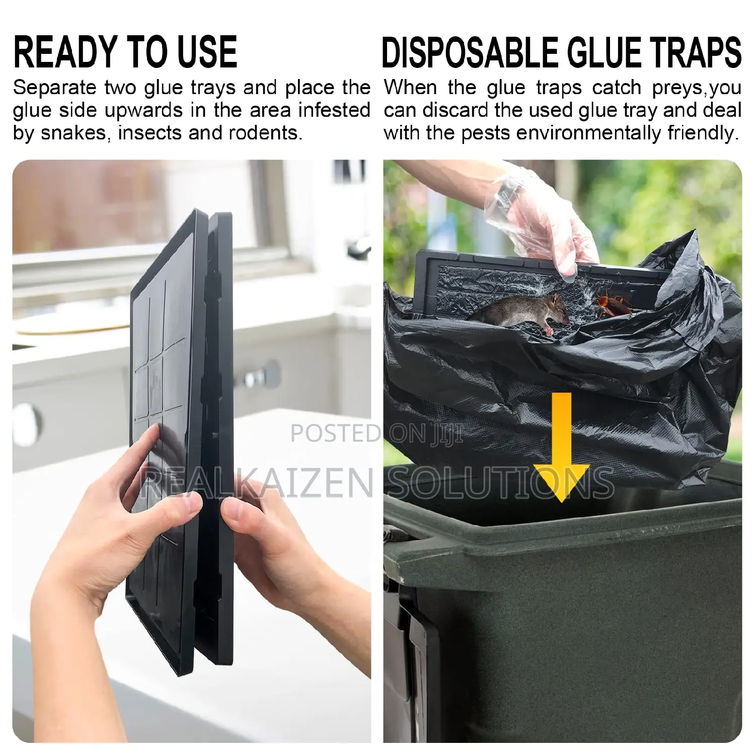 EXPERT CATCH Rat |Mice | Snake | Pests Large Glue Traps 2pcs