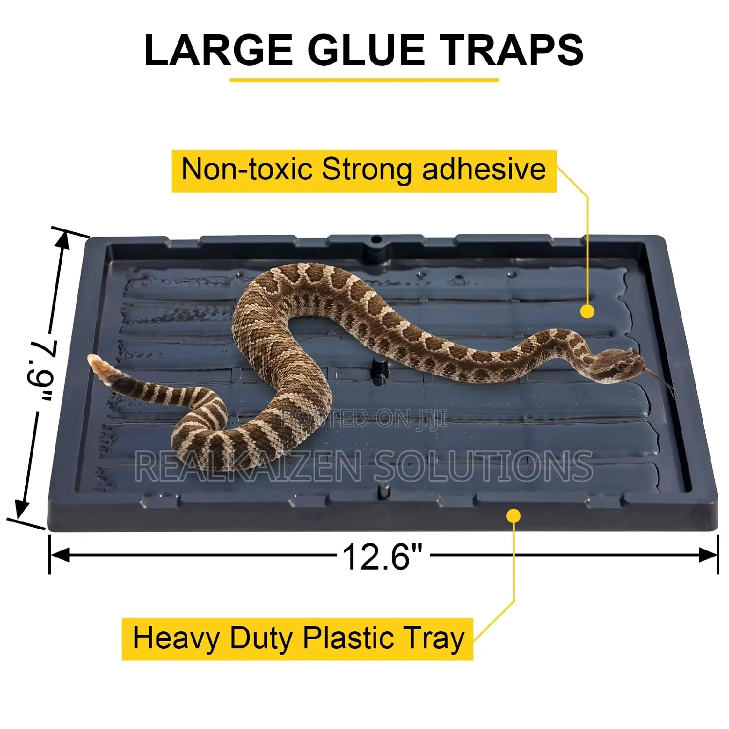EXPERT CATCH Rat |Mice | Snake | Pests Large Glue Traps 2pcs
