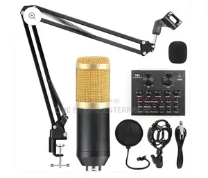 Condenser Microphone Set | Audio Mixer Voice Changer
