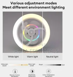 Modern Intelligent Rotation Ceiling Fan