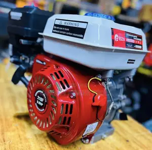 Gasoline/Petrol Engine Edon