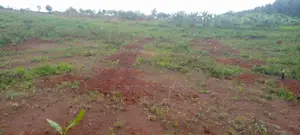 5 Acre Land With Tittle 25 Million Per Acre