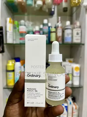 The Ordinary Hyaluronic Acid 2% + B5 Serum ( Healthy Skin )