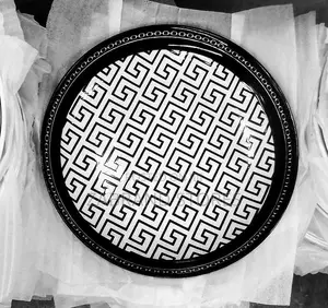 Dinner Plates Dozen 10inches 12 PCS