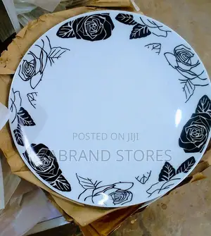 Flat 10 Inch Dinner Plates
